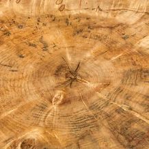 Trading Post Depot — live edge wood